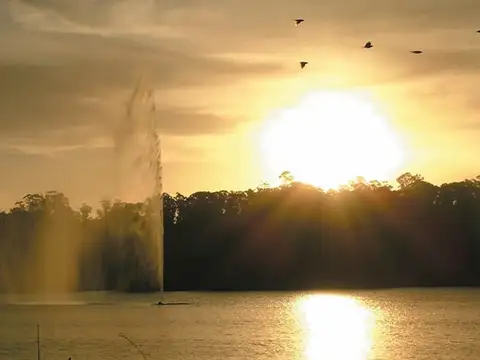 Terreno en Venta 38  mts Fondo