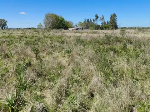 Campo en venta - 83.000Mts2 - Florencio Varela
