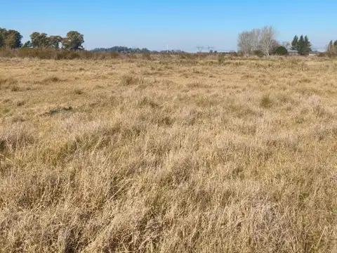Campo en venta - 83.000Mts2 - Florencio Varela