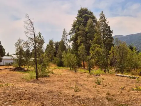 Terreno en Venta 12  mts Frente