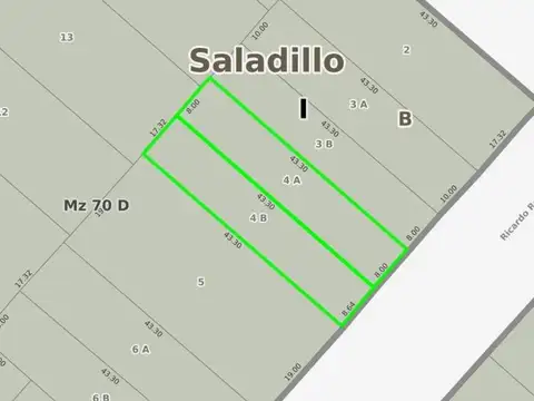Ricardo Rojas e/ Avenida Mariano Saavedra y Adrián J. Viale