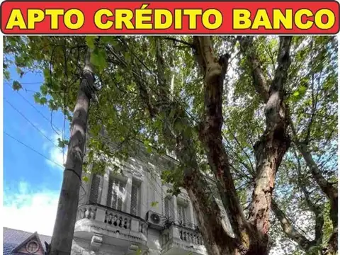 Candelaria 100, Piso PB