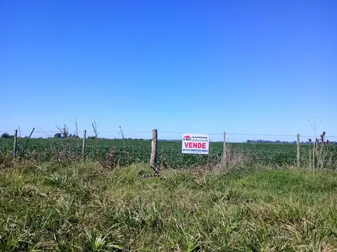 VENTA DE 7 HECTAREAS SOBRE RUTA NACIONAL Nº7 - CARMEN DE ARECO