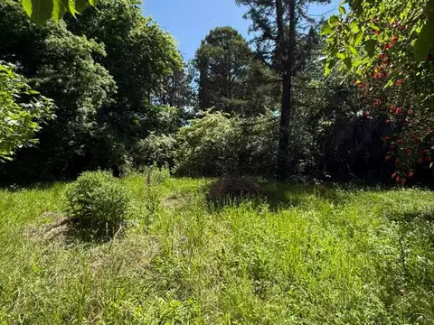 Terreno en venta en Comarca del Sol, Exaltacion de la Cruz