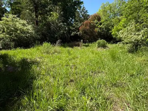 Terreno en Venta 65  mts Fondo