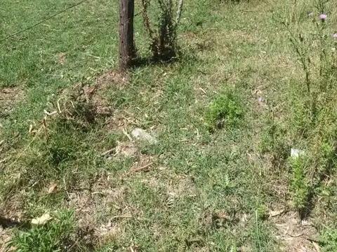 Loteo en Cañuelas Lote 2