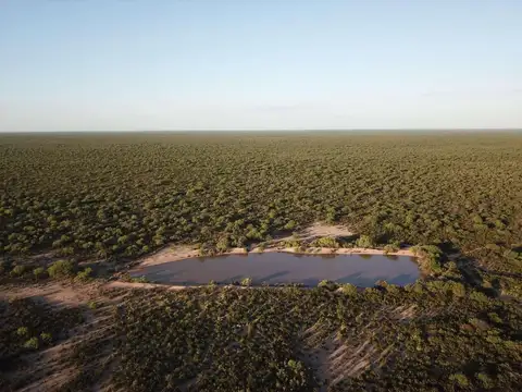 Campo en Mendoza, Santa Rosa Ganadero