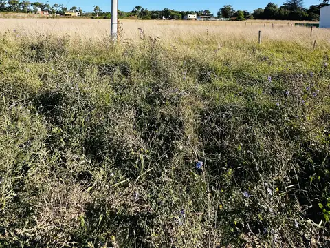 Av erramouspe entre de los nogales y de la paz