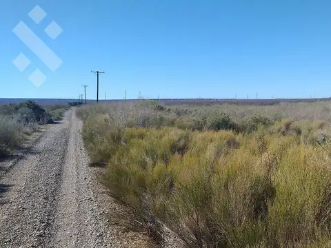 Colonia San Francisco, Senillosa, Neuquén