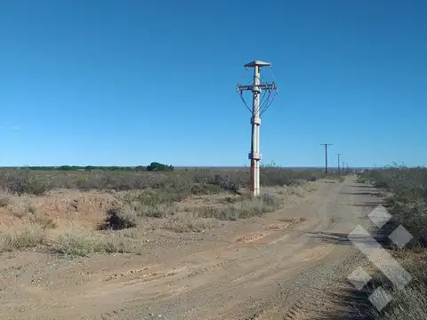 Colonia San Francisco, Senillosa, Neuquén