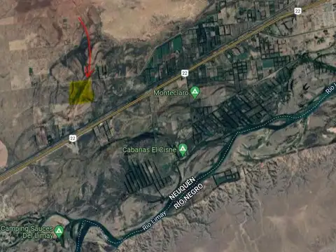 Campo de 25 Ha en venta en Senillosa. A 500 m de la R22. USD100.000. Con ESCRITURA.