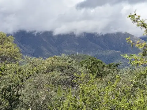 Terreno en Venta de 5000,0 m2