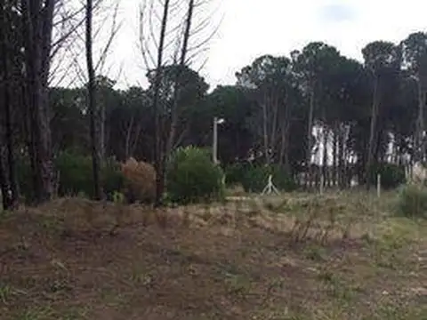 VENDEMOS LOTES DE TERRENO DE 20x30 y 20x40 mts. FRENTE AL GO