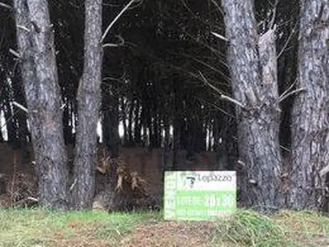 VENDEMOS LOTES DE TERRENO DE 20x30 y 20x40 mts. FRENTE AL GO