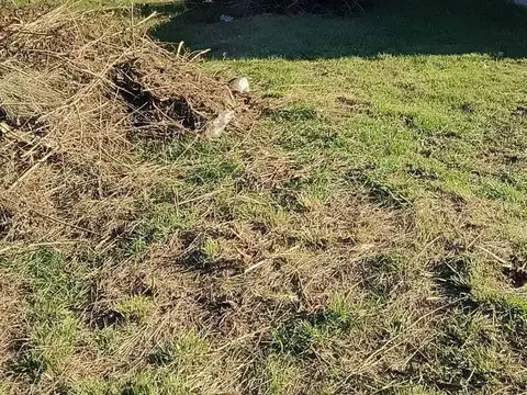 Terreno en Venta en Virrey Del Pino, USD 15.000