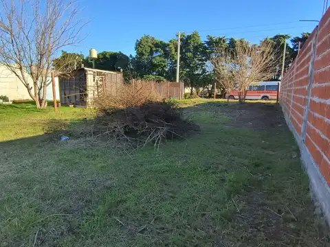 Terreno en Venta de 310,0 m2