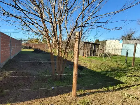 Terreno en Venta de 310,0 m2