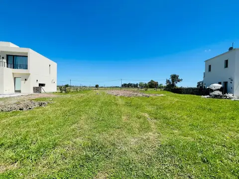 Venta lote en La Alameda