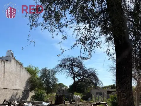 San Marcos Sierras 8476