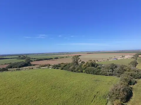 Campo mixto 36 agricolas / ganaderas