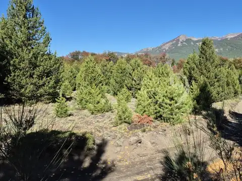 Terreno en Venta 50  mts Fondo