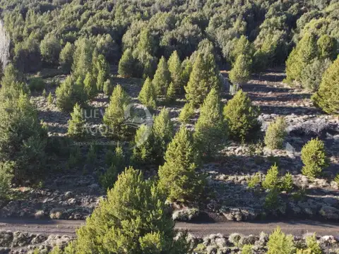 Terreno en Venta de 1984,0 m2