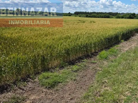 10 Hectareas, Camino Vuelta de Obligado Lucio Mansilla, San Pedro, Provincia de Buenos Airesas.