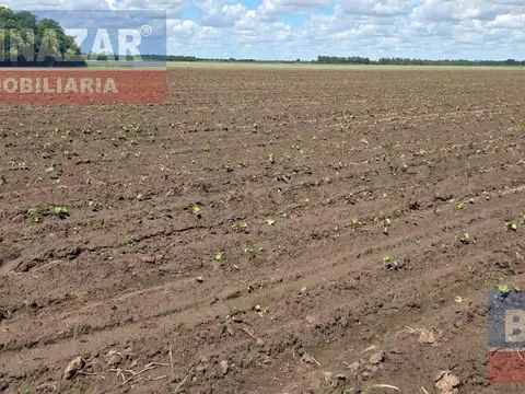 Venta Campo 10 Hectáreas en Vuelta de Obligado