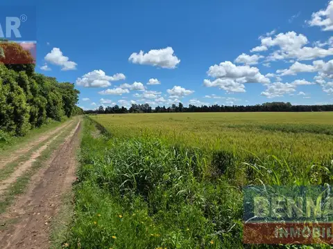 Venta Campo 10 Hectáreas en Vuelta de Obligado