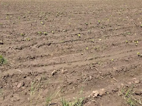 Venta Campo 10 Hectáreas en Vuelta de Obligado