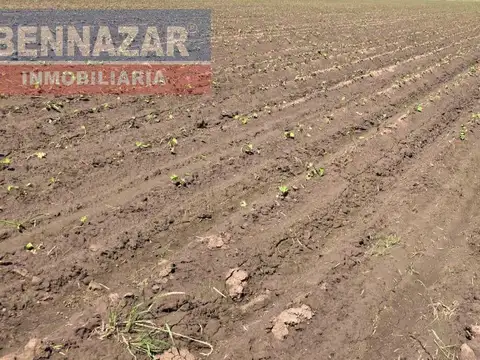 10 Hectareas, Camino Vuelta de Obligado Lucio Mansilla, San Pedro, Provincia de Buenos Airesas.