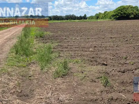 10 Hectareas, Camino Vuelta de Obligado Lucio Mansilla, San Pedro, Provincia de Buenos Airesas.