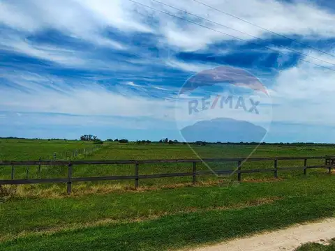 VENTA - LOTE 14.764 m² - CHACRAS DE OLIVIA, ZÁRATE