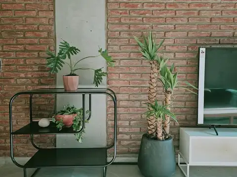 Departamento en Alquiler Temporal en Palermo, USD 800