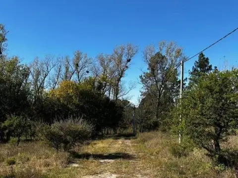 Terreno en Venta en Los Molinos, USD 20.000