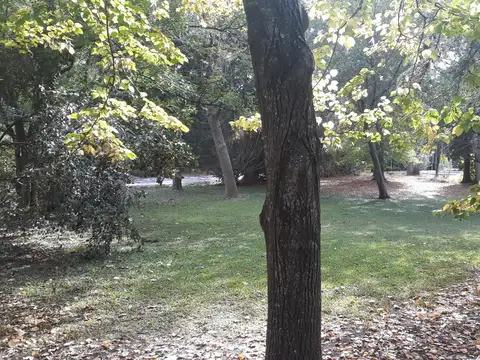 Terreno en Venta de 715,0 m2