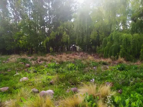 LOTE DE 1.000 M2 EN EL MANZANO