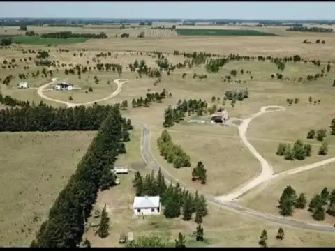 Terreno en Venta de 1960,0 m2