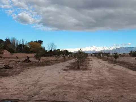 Terreno en Venta de 500,0 m2