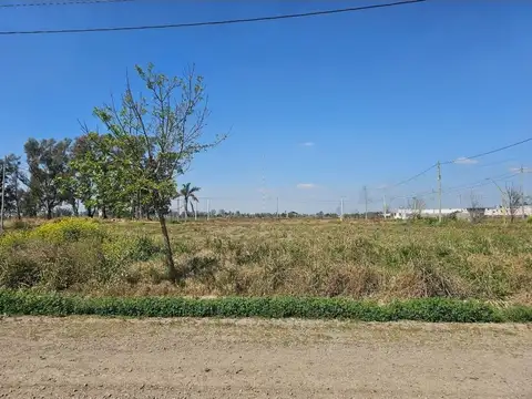 Lote en venta nueva italia