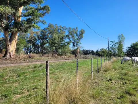 54 e/ 165 y 166 100