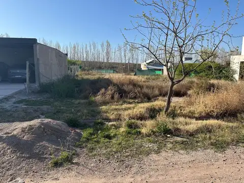 Ruta Panamericana
