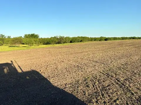Campo en Venta de 270  ha