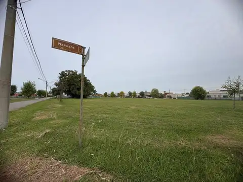 Altos Del Casco - Lote 100