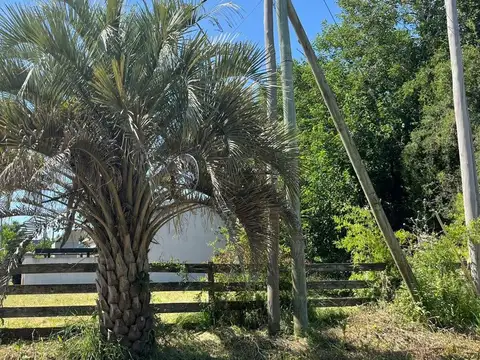 LOTE EN VENTA CAÑUELAS BARRIO LOS FRESNOS CENTRICO