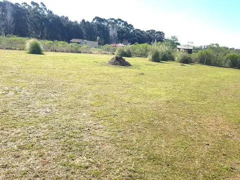 Terreno en Venta de 3200,0 m2