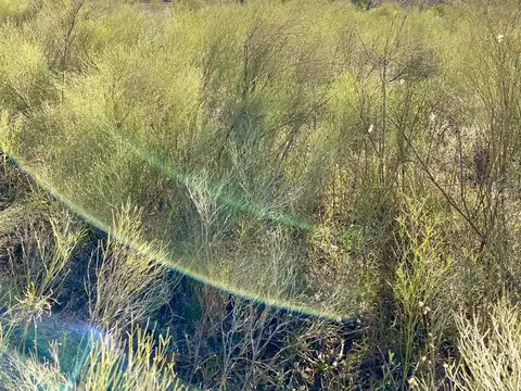 Terreno en Venta de 4335,0 m2