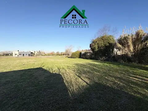 Lote - El Cazal -  Interno - Lote 33