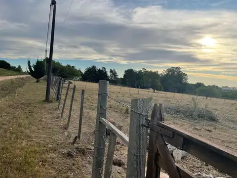 Terreno en Venta de 12986,0 m2