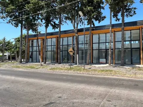 Local en venta alquilado en Gorina